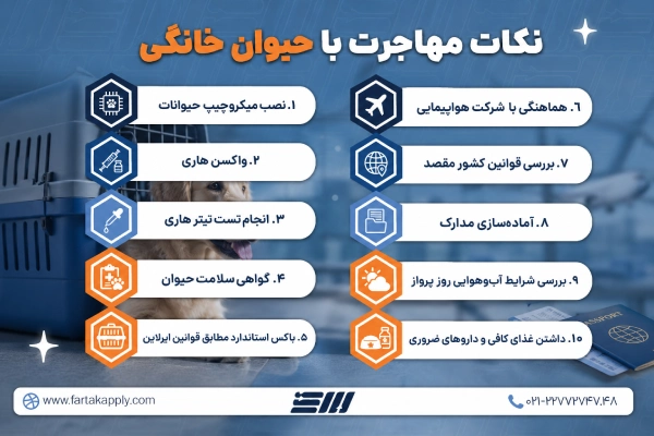 نکات مهاجرت با حیوان خانگی